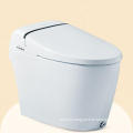 S50  Cheap Price Smart Toilet Sets , Chinese Toilet Video, One piece Dual-Flush wc Toilet Tube